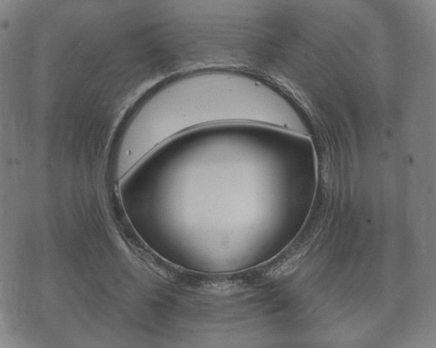 X0000073720540200608031018