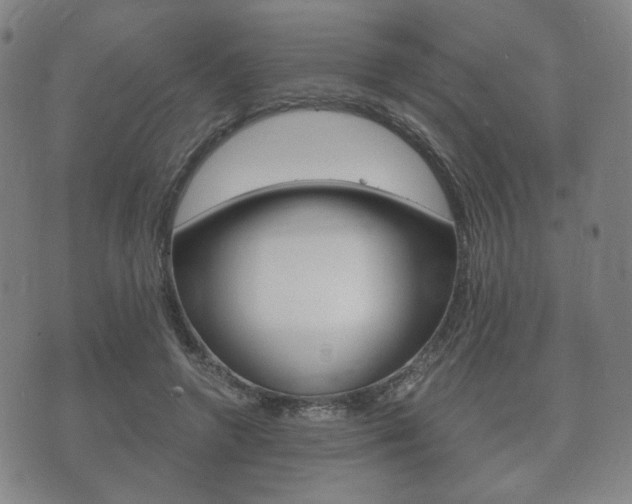 X0000073720546200608031018