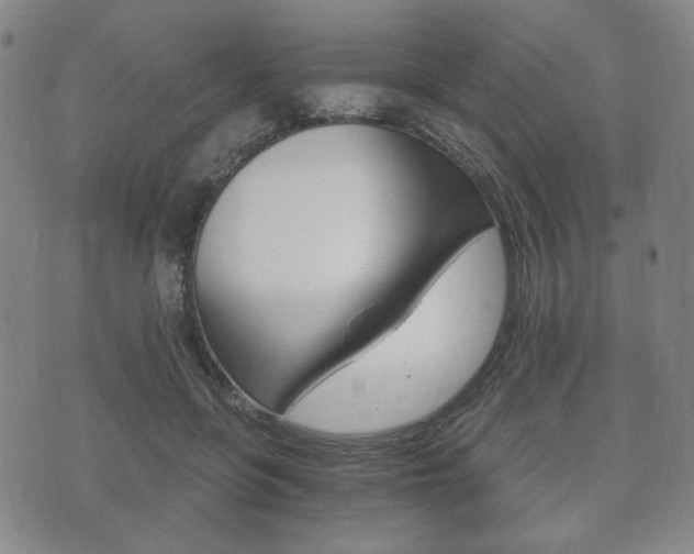 X0000073720551200608031018