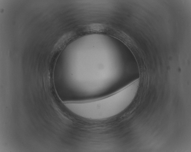 X0000073720552200608031018