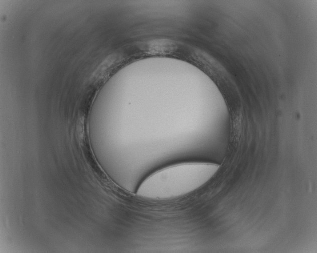 X0000073720554200608031018