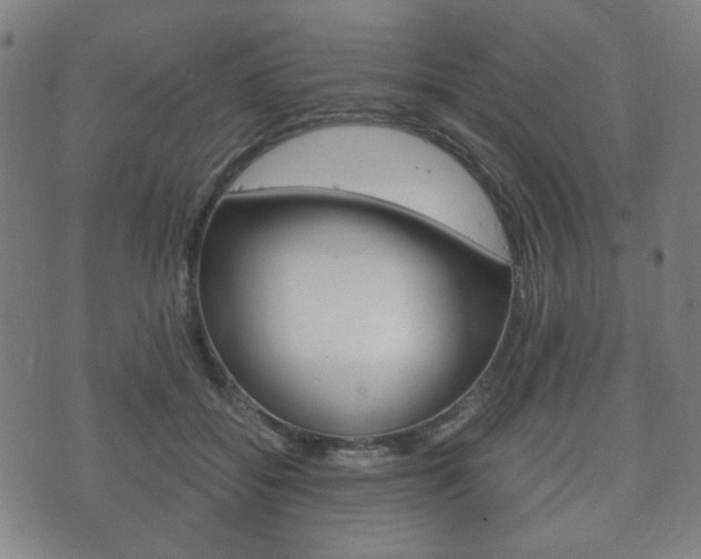 X0000073720556200608031018