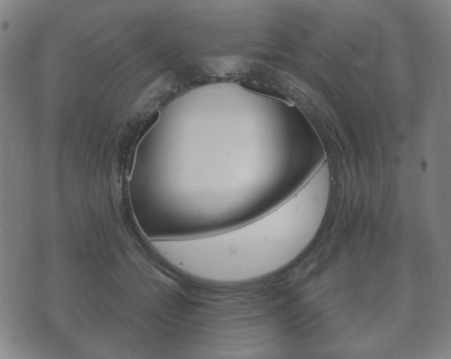 X0000073720558200608031018