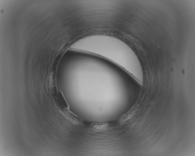 X0000073720560200608031018