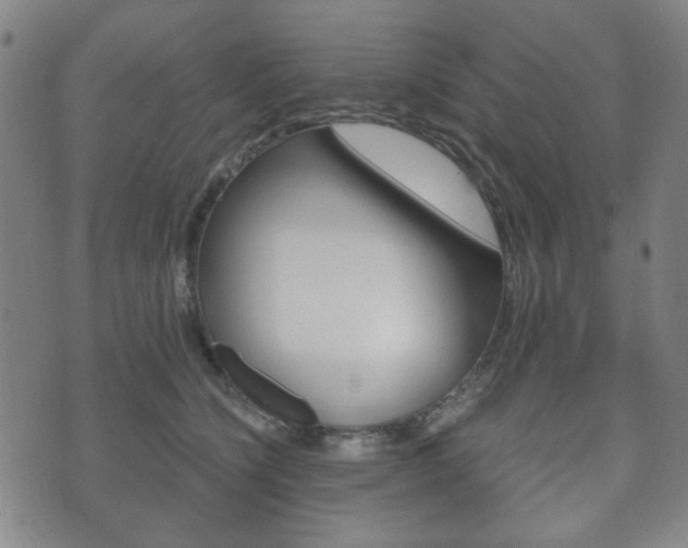 X0000073720564200608031018