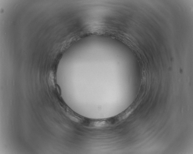 X0000073720575200608031018