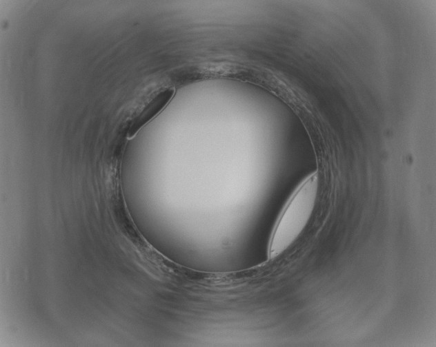X0000073720601200608031017