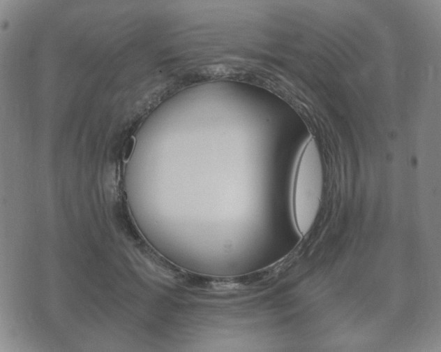 X0000073720605200608031017