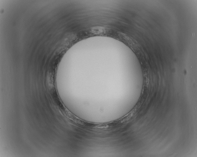 X0000073720606200608031017