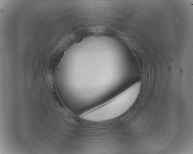 X0000073720609200608031017