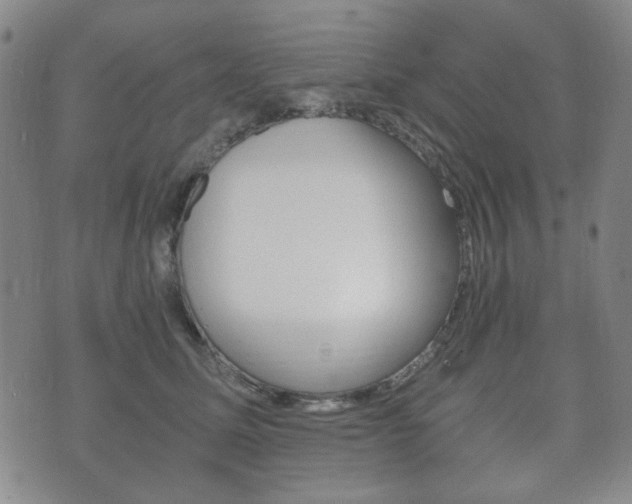 X0000073720611200608031017