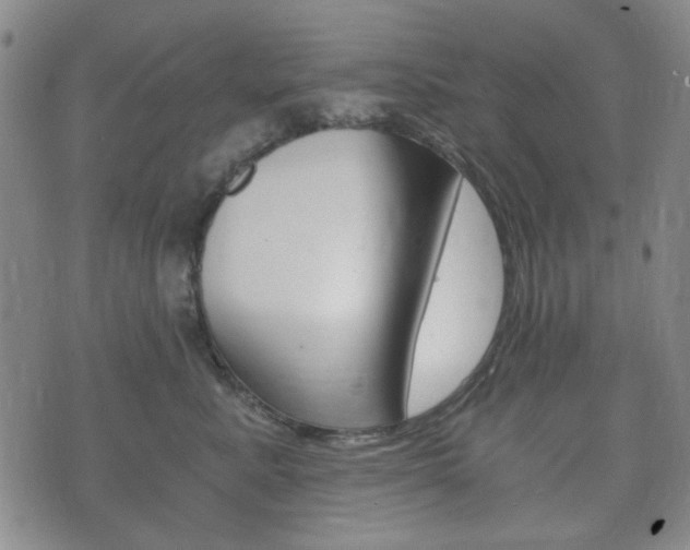 X0000073720619200608031017