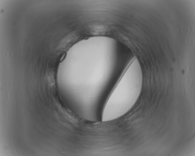 X0000073720620200608031017