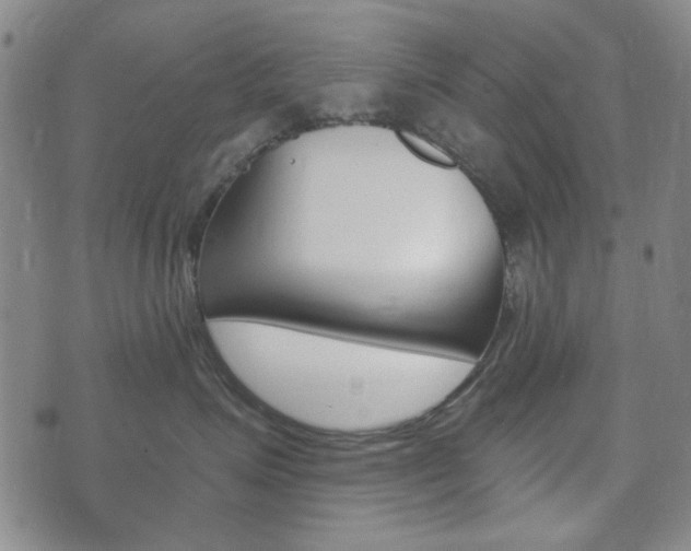 X0000073720623200608031017