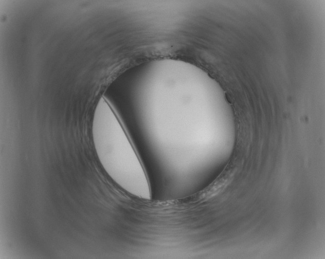 X0000073720624200608031017