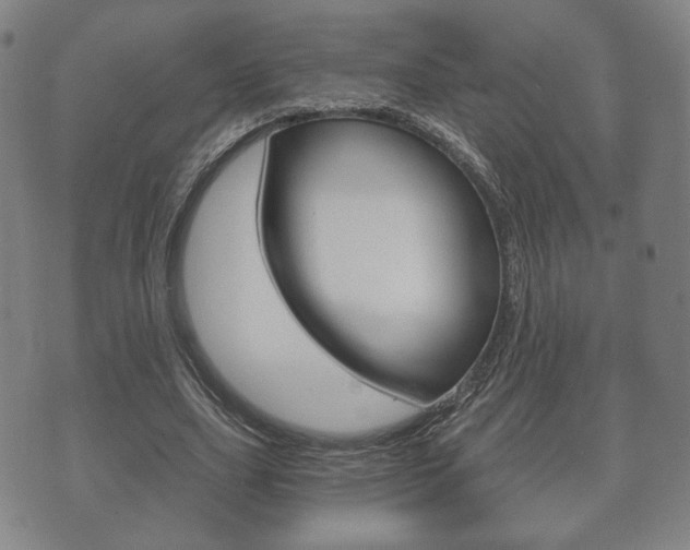 X0000073720631200608031016
