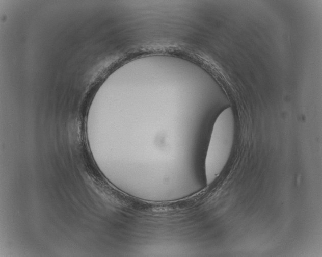 X0000073720636200608031016