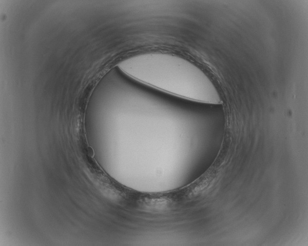 X0000073720645200608031016