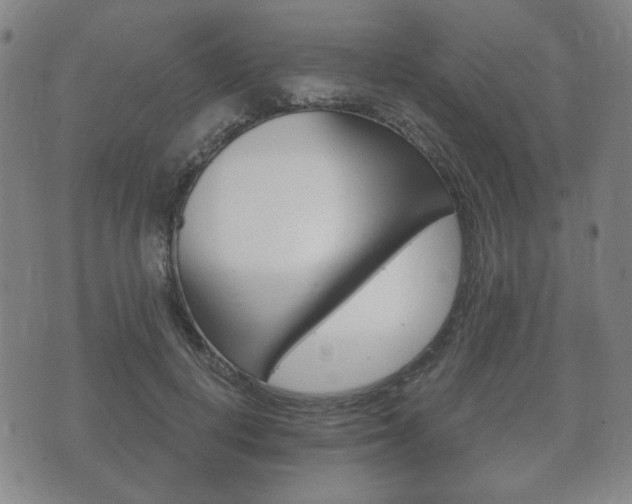 X0000073720648200608031017