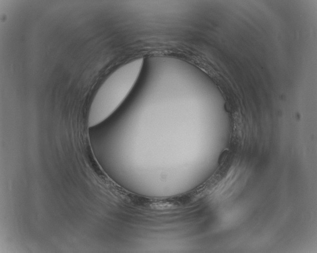 X0000073720650200608031017