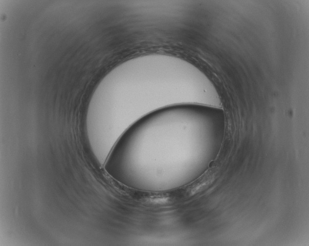 X0000073720651200608031017