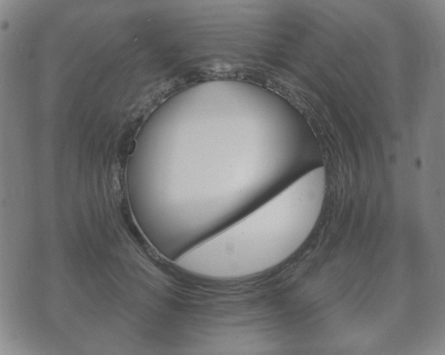 X0000073720654200608031017