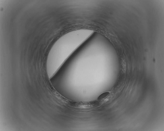 X0000073720657200608031017