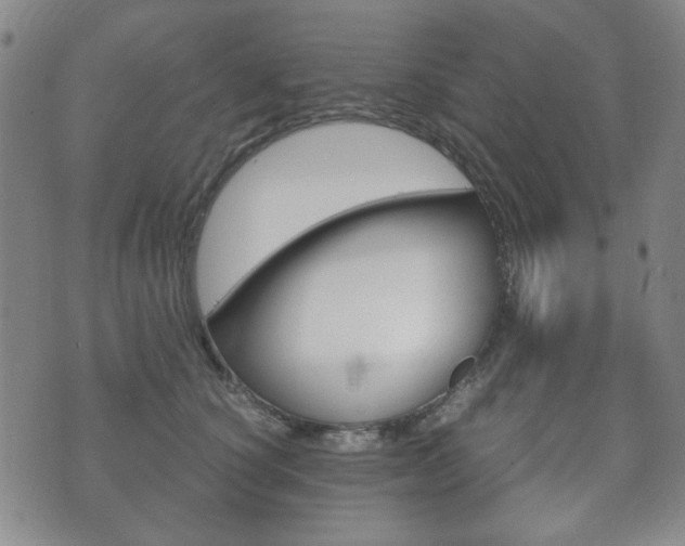 X0000073720660200608031017