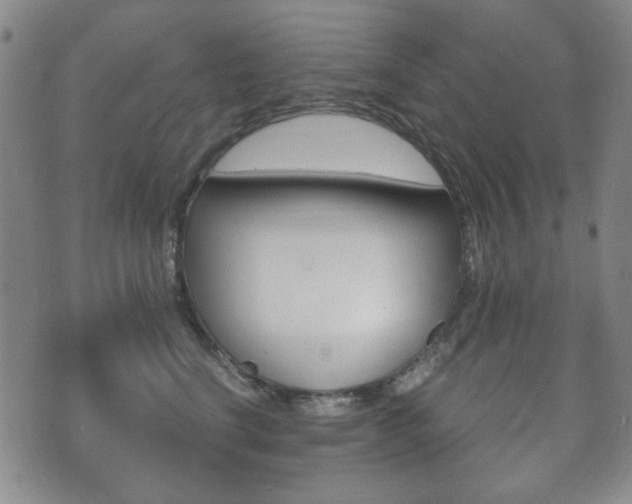 X0000073720664200608031017