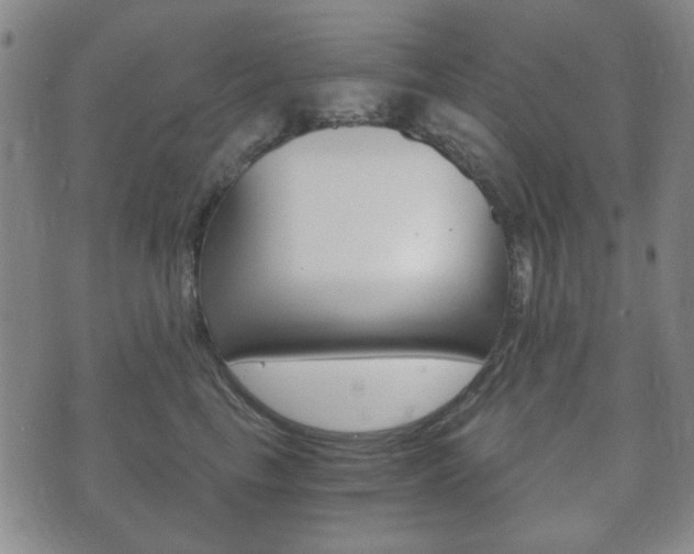 X0000073720665200608031017