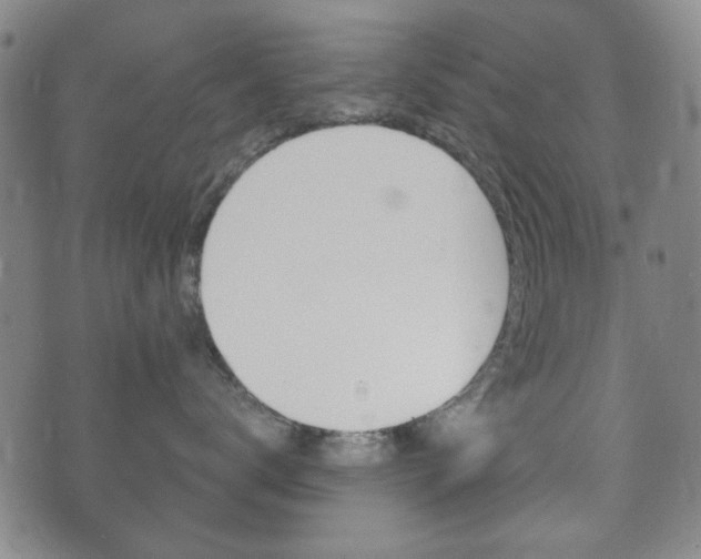 X0000073720672200608031017
