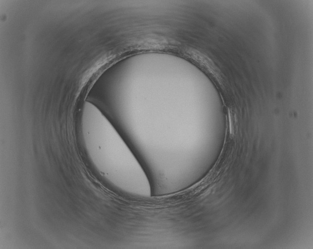 X0000073720675200608031016