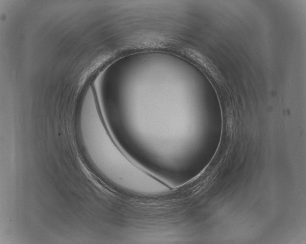 X0000073720677200608031016