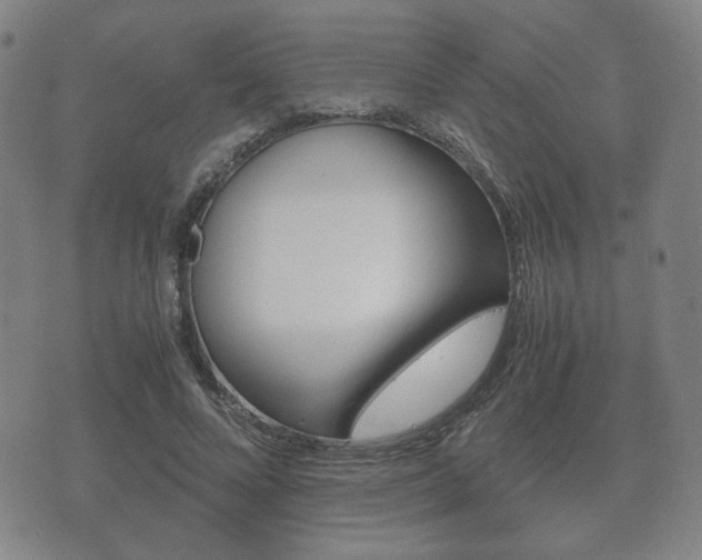 X0000073720688200608031016