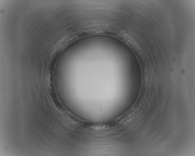 X0000073720693200608031016
