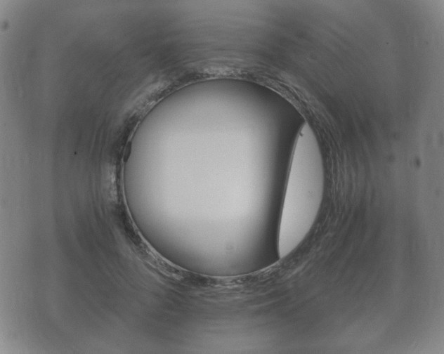 X0000073720696200608031016