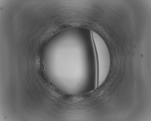 X0000073720697200608031016