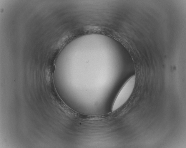 X0000073720708200608031016