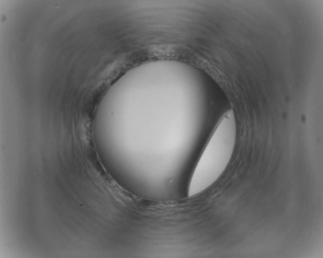 X0000073720712200608031015