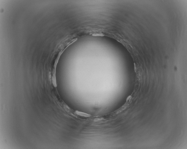 X0000073720716200608031015