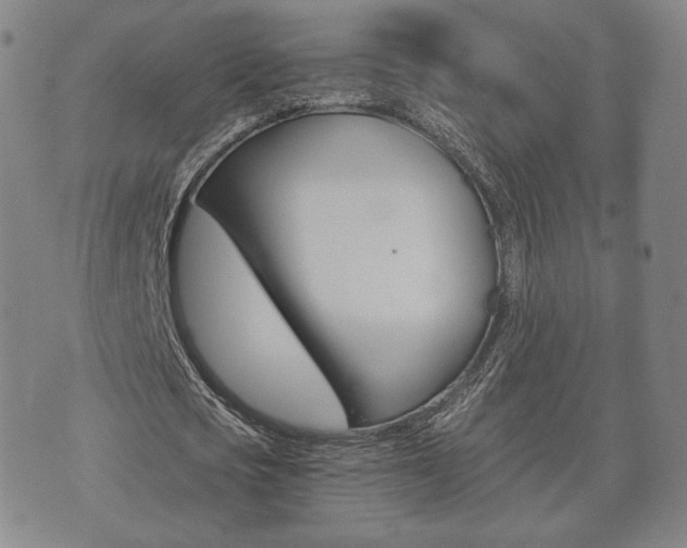 X0000073720721200608031015
