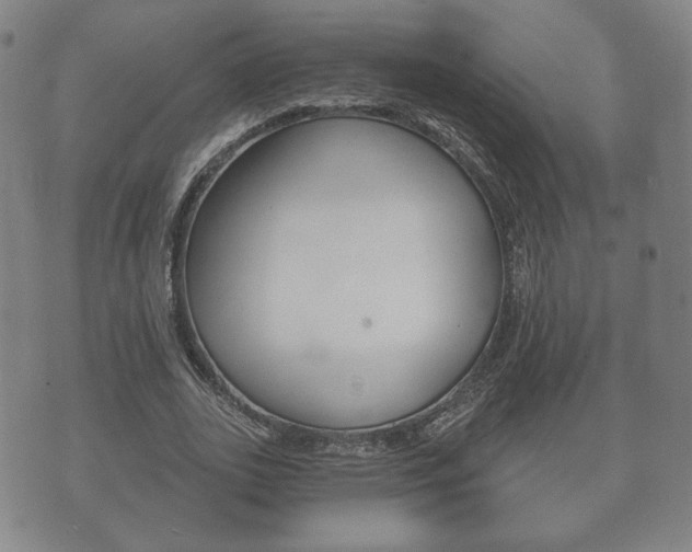 X0000073720727200608031015