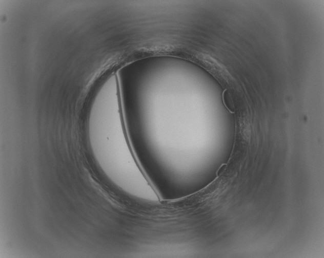X0000073720735200608031015