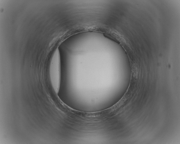 X0000073720740200608031015