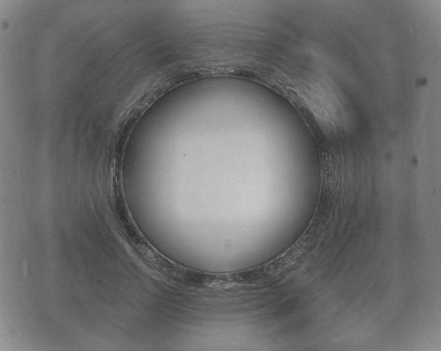 X0000073720742200608031015