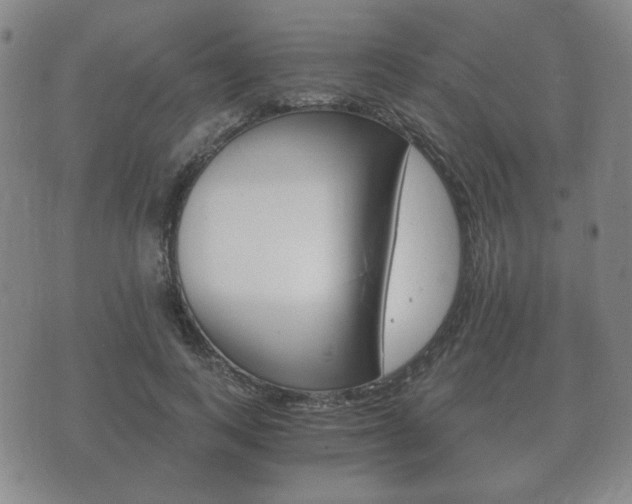 X0000073720743200608031015