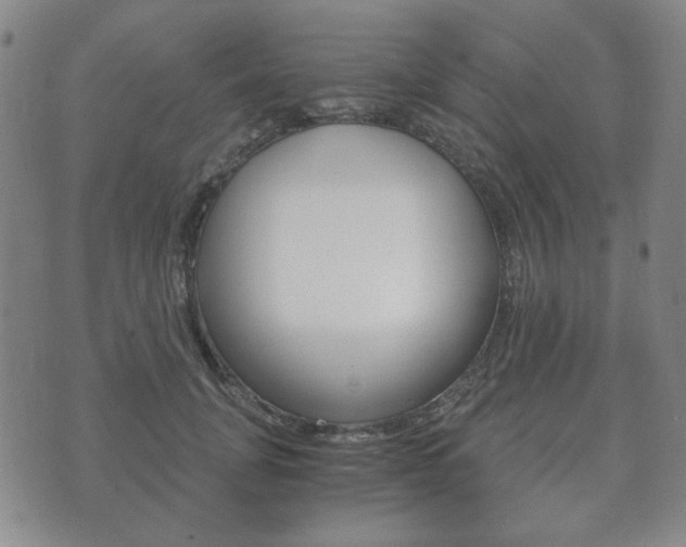 X0000073720751200608031015