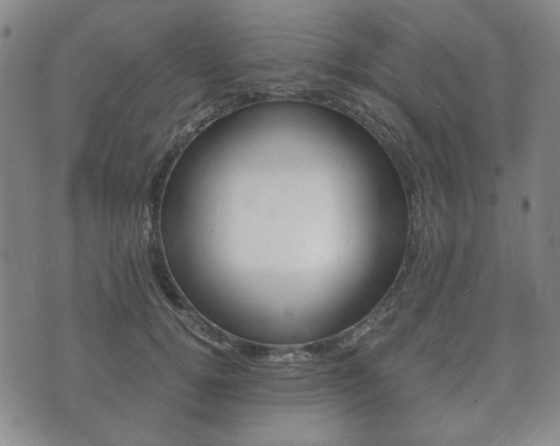 X0000073720752200608031015