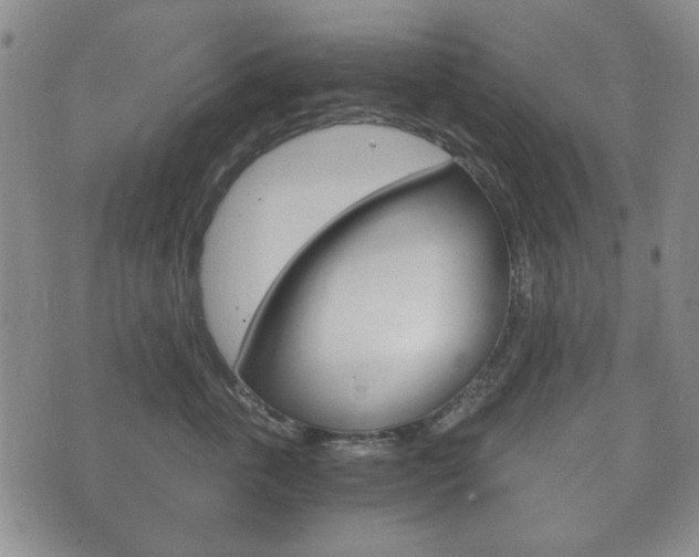 X0000073720763200608031015