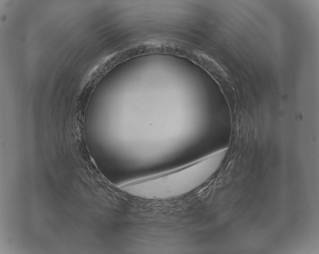 X0000073720776200608031014